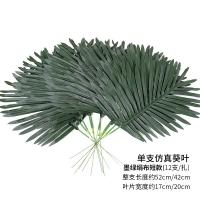 XU0610556